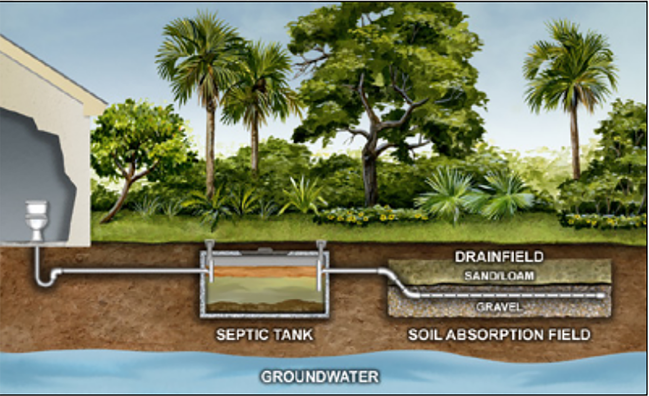 septic drain field diagram